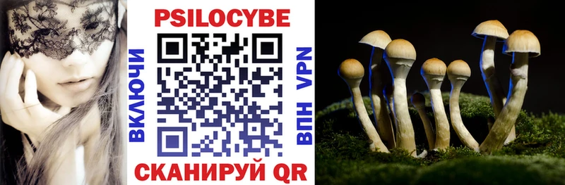 ссылка на мегу рабочий сайт  Кадников  Псилоцибиновые грибы Magic Shrooms 